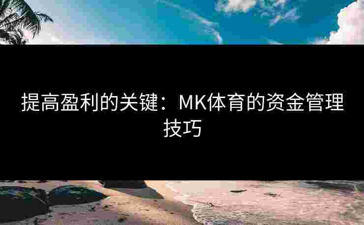 提高盈利的关键：MK体育的资金管理技巧